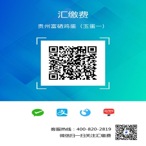 非业团即无可真实业务编码